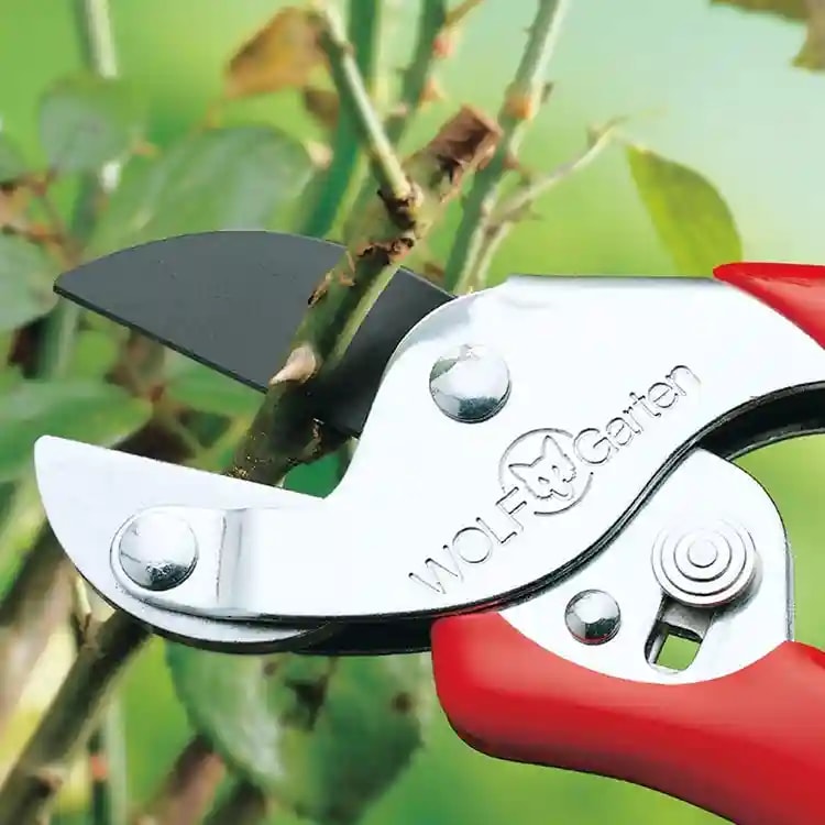 Wolf Garten Anvil Secateurs (RS-EN), Plant Cutter For Home Garden, Wood Branch Trimmer, Comfortable And Lightweight