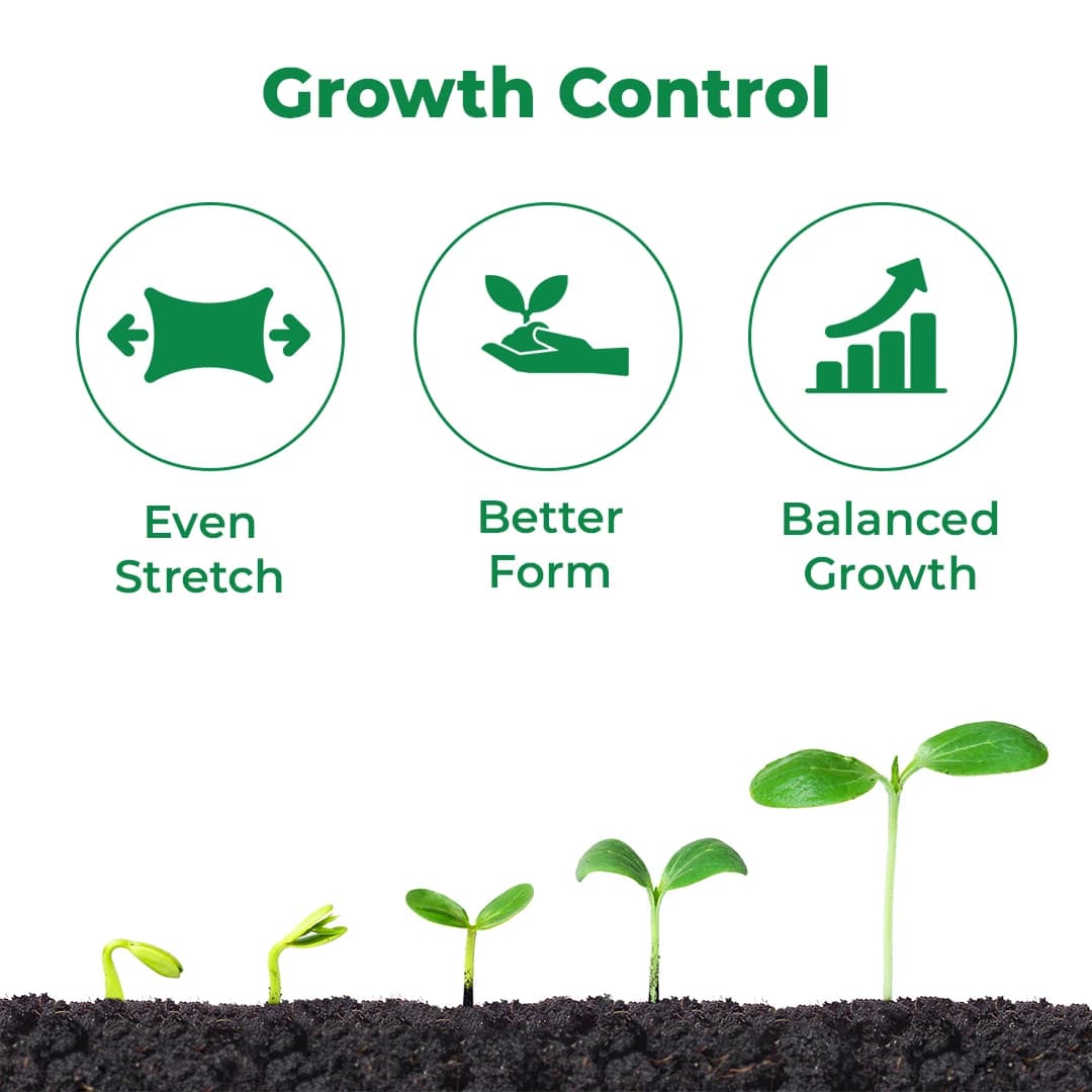 EBS Grow Genius Gibberellic Acid 0.001% L, Which Stimulate & Regulate The Plant Growth - Image 3