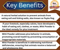 PASHU SVASTH MITTI POWDER, Natural Herbs For Preventing Soil Eating (PAYKA AND PICA) In Animals 2
