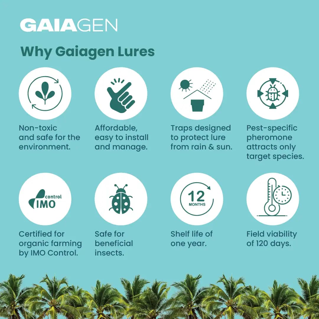 Gaiagen RB Lure Combo , Pheromone Lure For Rhinoceros Beetle Outdoor Plants (Oryctes Rhinoceros) and Insect Bucket Trap, IMO Certified. - Image 4