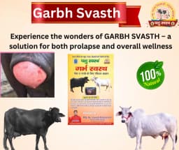 PASHU SVASTH GARBH SVASTH, Herbal Cattle Prolapse And Uterine Health Solution 6