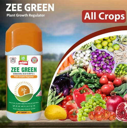 Multiplex Zee Green Gibberellic Acid 0.001% L Plant Growth Regulator, Boosts Yields of Fruits and Vegetables - Image 2