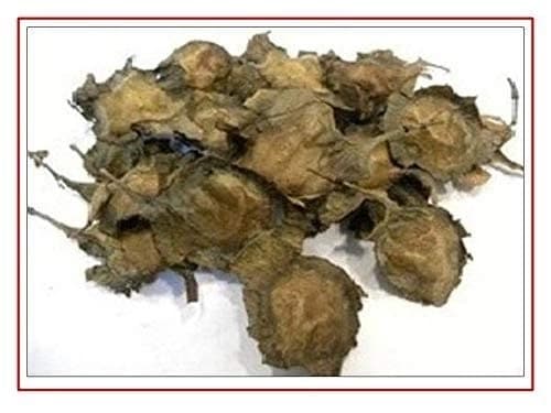 SRI SAI FORESTRY Red Sandal Seeds (Pterocarpus Santalinus , Lal Chandan or Raktachandan) - Image 4