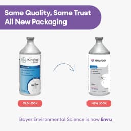 Bayer KINGFOG Deltamethrin 1.25% Insecticides, Effective Mosquito Control, Against Anopheles, Culex And Aedes Species, Fogging Solution 6