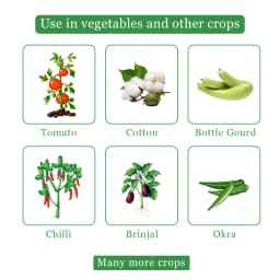 Neemol - Greenpeace Neem Oil Extract Azadirachtin 10000 PPM, Natural Insecticide. 4