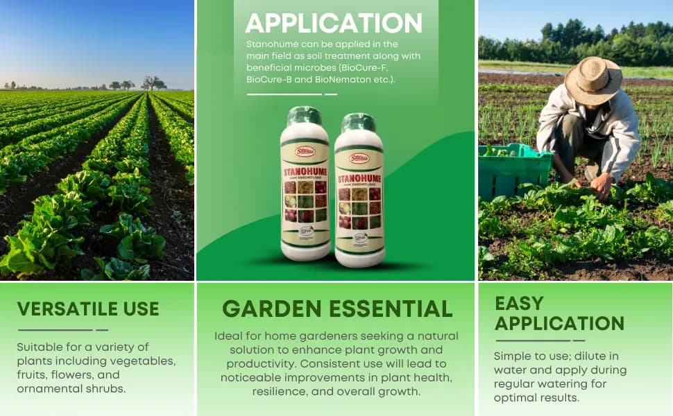 T Stanes Stanohume (12% HA) Plant Growth Regulator, Improves The Structure of the Soil and Increases Water Retention, Use for Home Garden and Plants - Image 6
