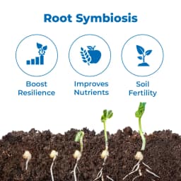 Sumitomo Nature Deep, Mycorrhiza 50.0% + Powder Quartz 50.0%, For Various Fruits And Vegetables. 3