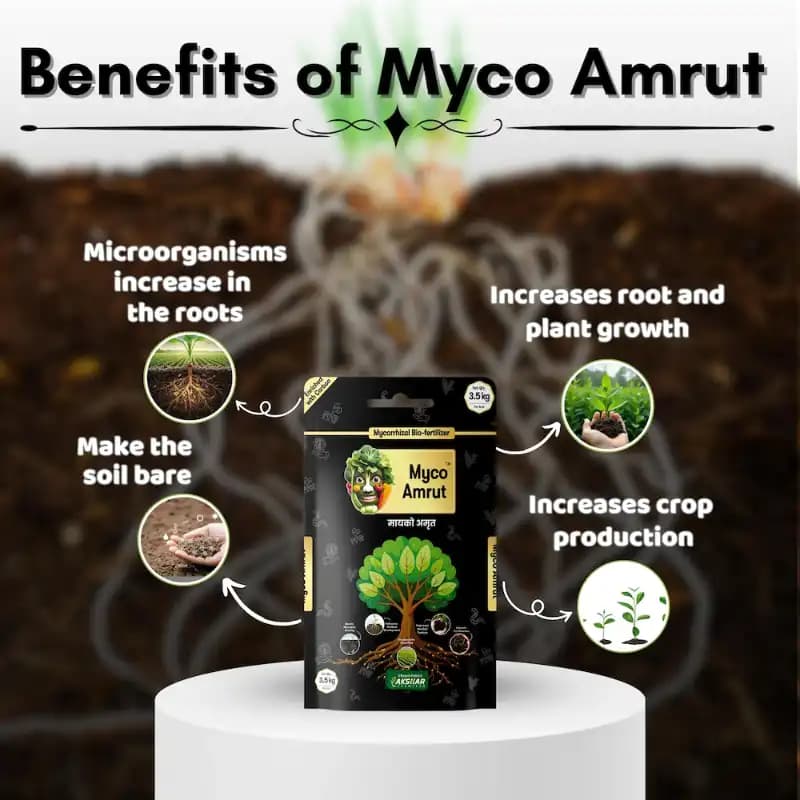 Myco Amrut Vesicular Arbuscular Mycorrhiza Bio Fertilizer - Image 2