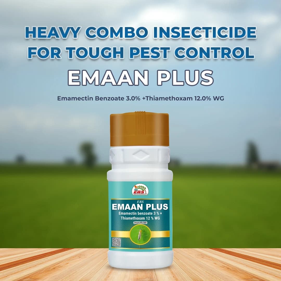 EBS Emaan Plus Emamectin Benzoate 3.0% +Thiamethoxam 12.0% WG, Broad Spectrum Insecticide - Image 3