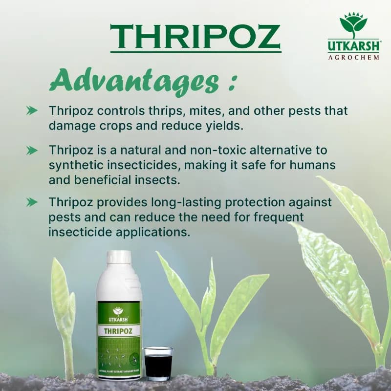 Utkarsh Thripoz, Natural Plants Extract, Against Thrips, Natural Plant Protector For Sucking Pests, Aphids And White Fly - Image 2