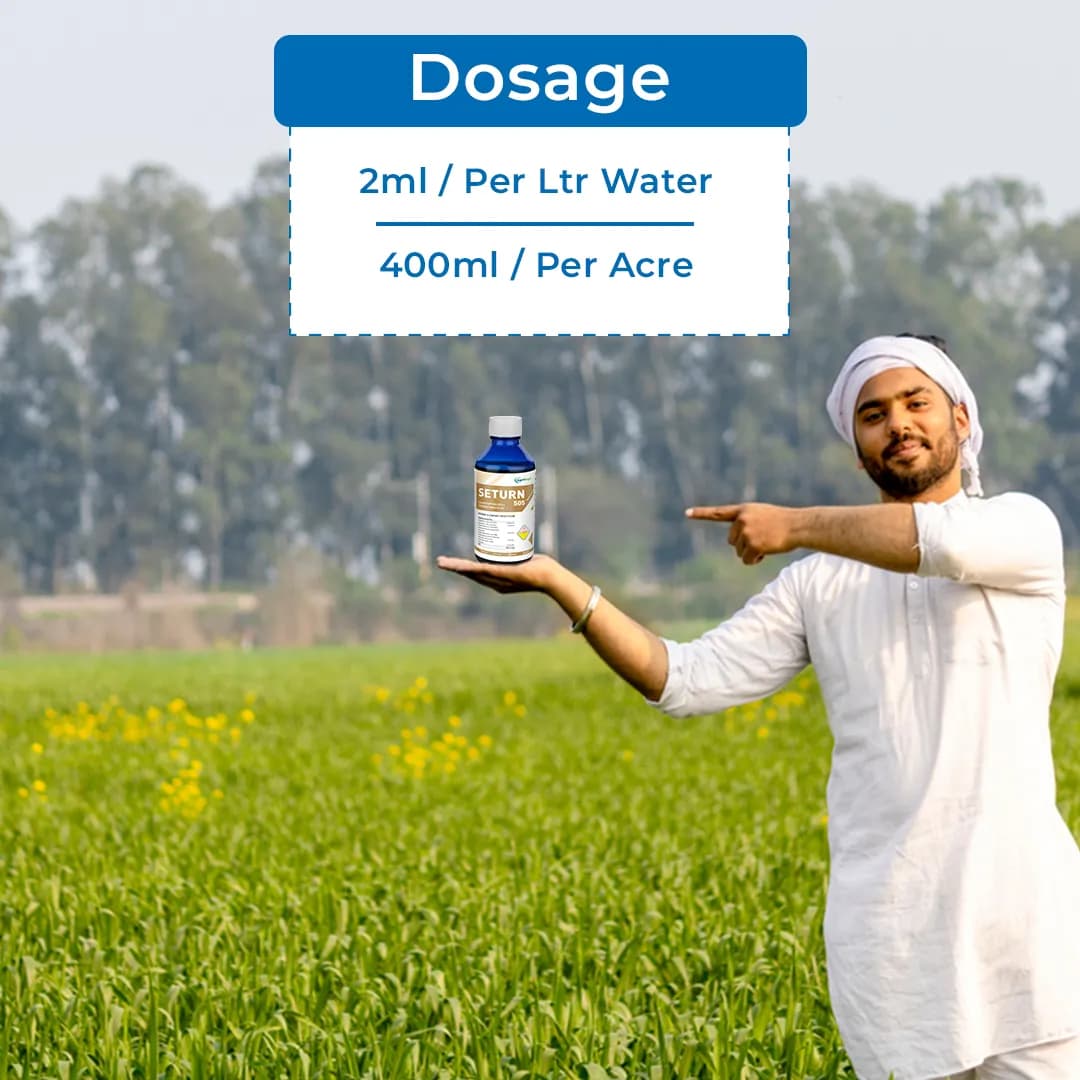 Seturn 505 - Chlorpyriphos 50% + Cypermethrin 5% EC Insecticide With Contact and Systemic Action - Image 5