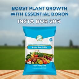 Insta Bor 20% Disodium Octaborate Tetrahydrate, Boron 20% For Development Of Roots, Fruit Growth 2