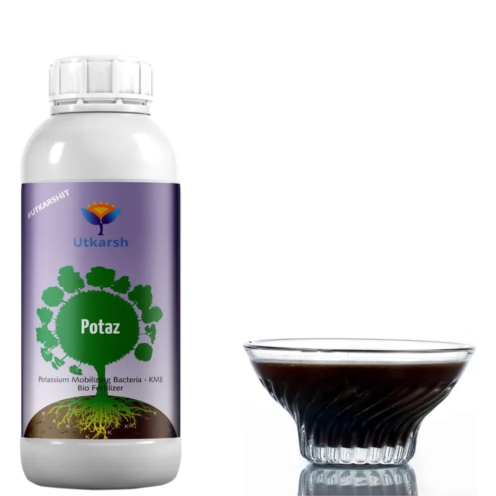 Utkarsh Potaz (Potassium Solubilizing Bacteria - KSB) Bio Fertilizer, Improves Soil Health and Stimulates Plant Growth - Image 4