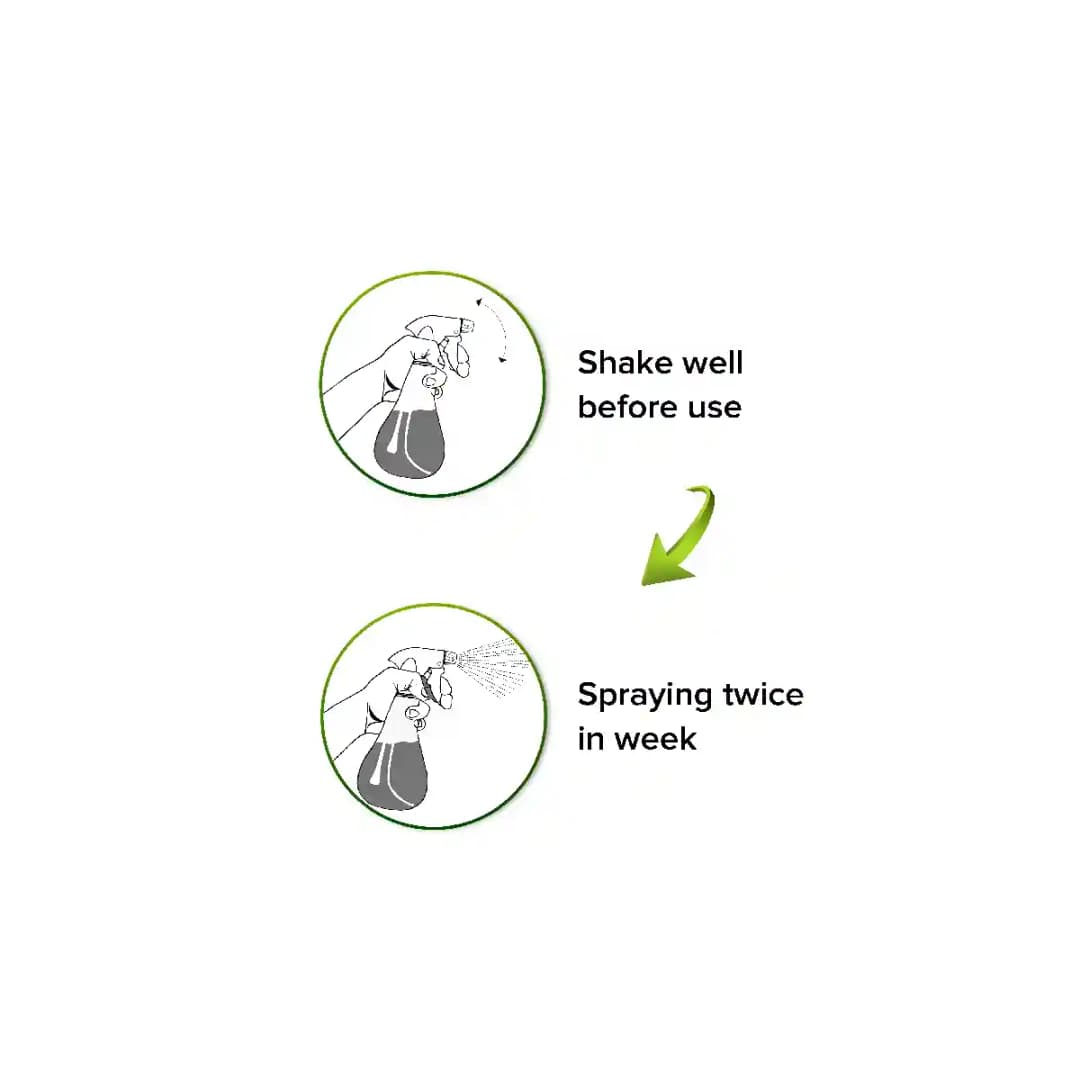 Green Era Guard 360 Organic Plant Care Protector, Liquid Ready to Use Spray for Plants - Image 3