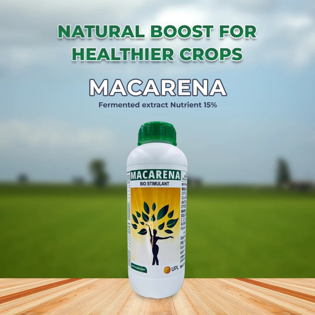 UPL Macarena, A Plant Tonic, A True Stress Buster, Fermented Extract Nutrient 15%, Increases Metabolism of Plant - Image 2