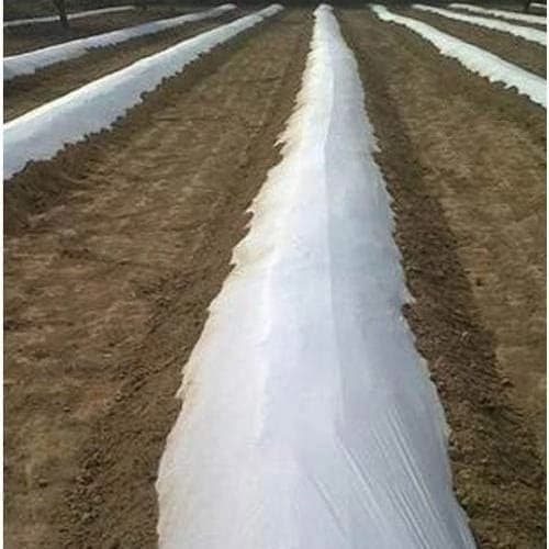 Siddhi Mulch Film, Mulching Sheet, (1.2 Meter Width x 400 Meters Length) For Agriculture & Horticulture Use (Black & White) - Image 5