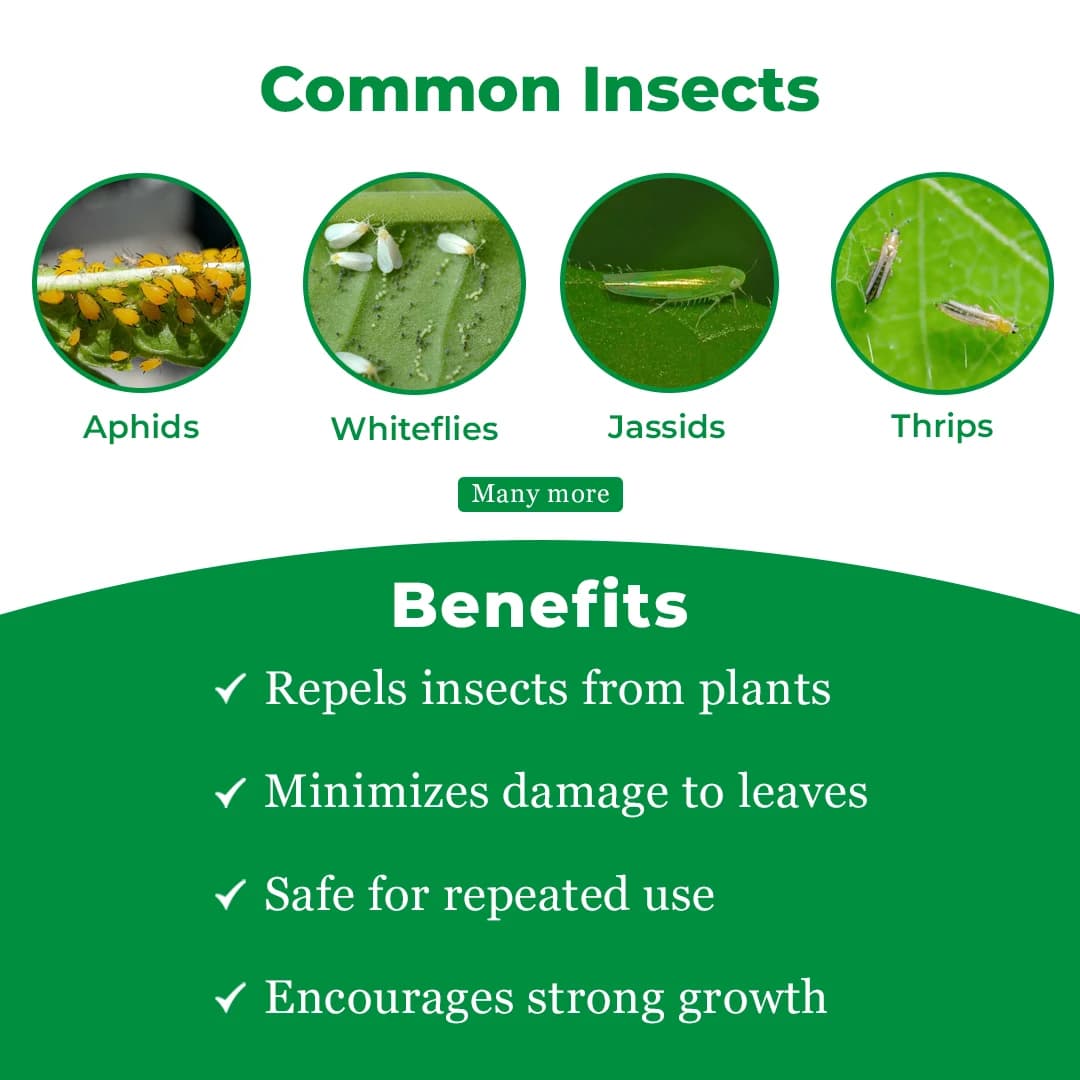 Krishigiri NEEMARA Azadirachtin 5% Insecticide, Neem Extract Concentrate 50000 PPM, Effective For Aphids, Whitefly, Pod Borer And Leafhoppers In Crops - Image 3