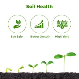 Orcon+ Speciality Adjuvant with Antifeedant Properties. For Chilli, Cotton & Paddy, Specially for Black Thrips In Chilli Crop 3