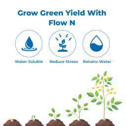 Flow N - Nitrobenzene 35% Flowering Stimulant, Promotes Root Growth, Water Retention, Reduces Soil Erosion, Organic Fertilizer 4