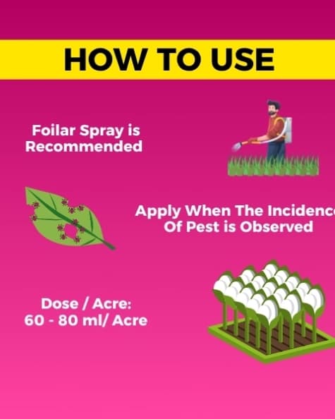 Katyayani Chakrawarti Thiamethoxam 12.6% + Lambda cyhalothrin 9.5% ZC Dual Mode Insecticide For Plants - Image 9