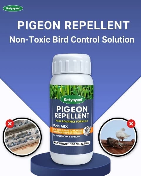 Katyayani Pigeon Repellent - Image 6
