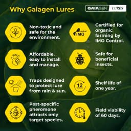 Gaiagen Tobacco Caterpillar (Spodoptera Litura) Pheromone Lure And Insect Funnel Traps, IMO Certified. 8