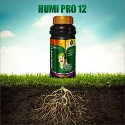 Humi Pro 12 (Humic Acid + Fulvic Acid) Flowering, Fruiting, Root Growth, Suitable for Drip, Foliar Spray and Drenching 7