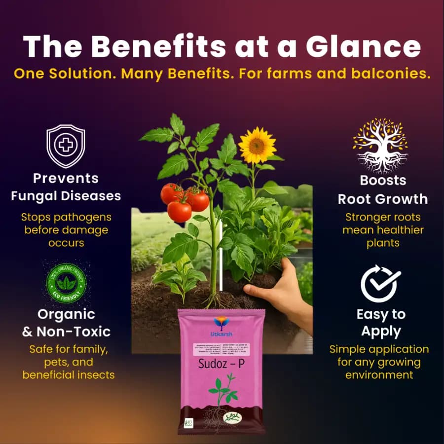 Utkarsh Sudoz-P (Pseudomonas Fluorescens 1.0% W.P.) Bio Pesticide, Control Soil-Borne Fungal Diseases & Nematodes - Image 2