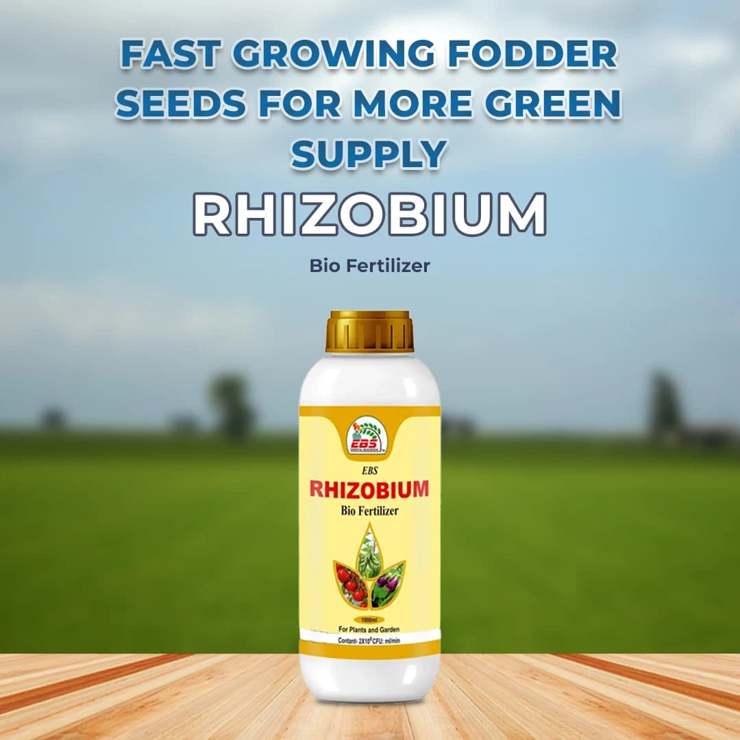 EBS Rhizobium Bio-Fertilizer - Image 2
