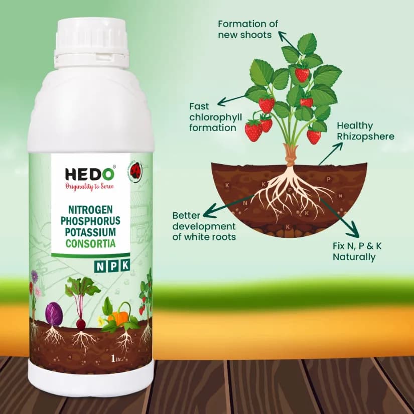 HEDO NPK Consortia (Bacteria) Liquid Bio Fertilizer For Agriculture, Garden, Soil Fertility And Plant Nutrition. - Image 9