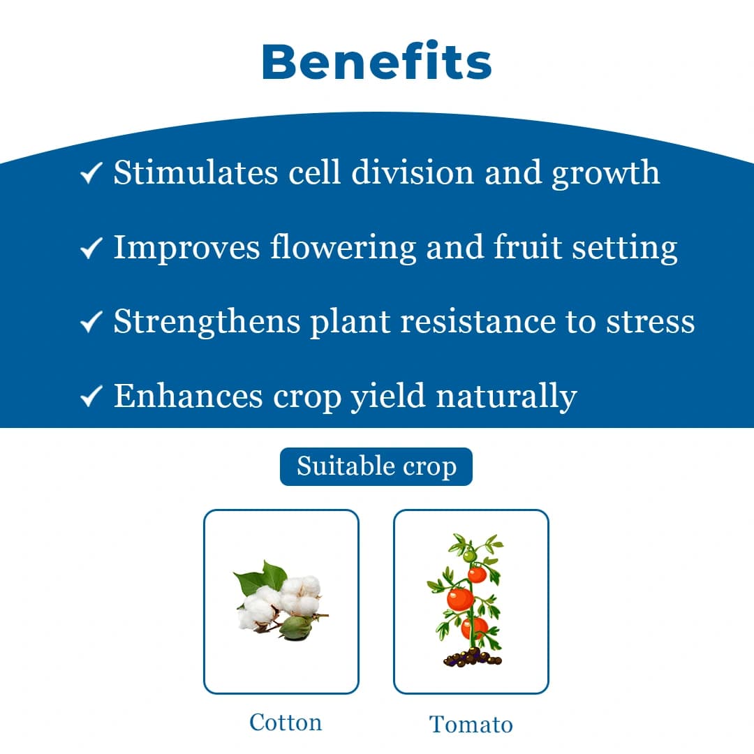 NACL Atonik - Plant Growth Regulator - Image 4
