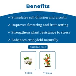 NACL Atonik Sodium Para Nitro phenolate 0.3% SL Plant Growth Regulator, Affects Various Stages Of The Development Of Plants 4