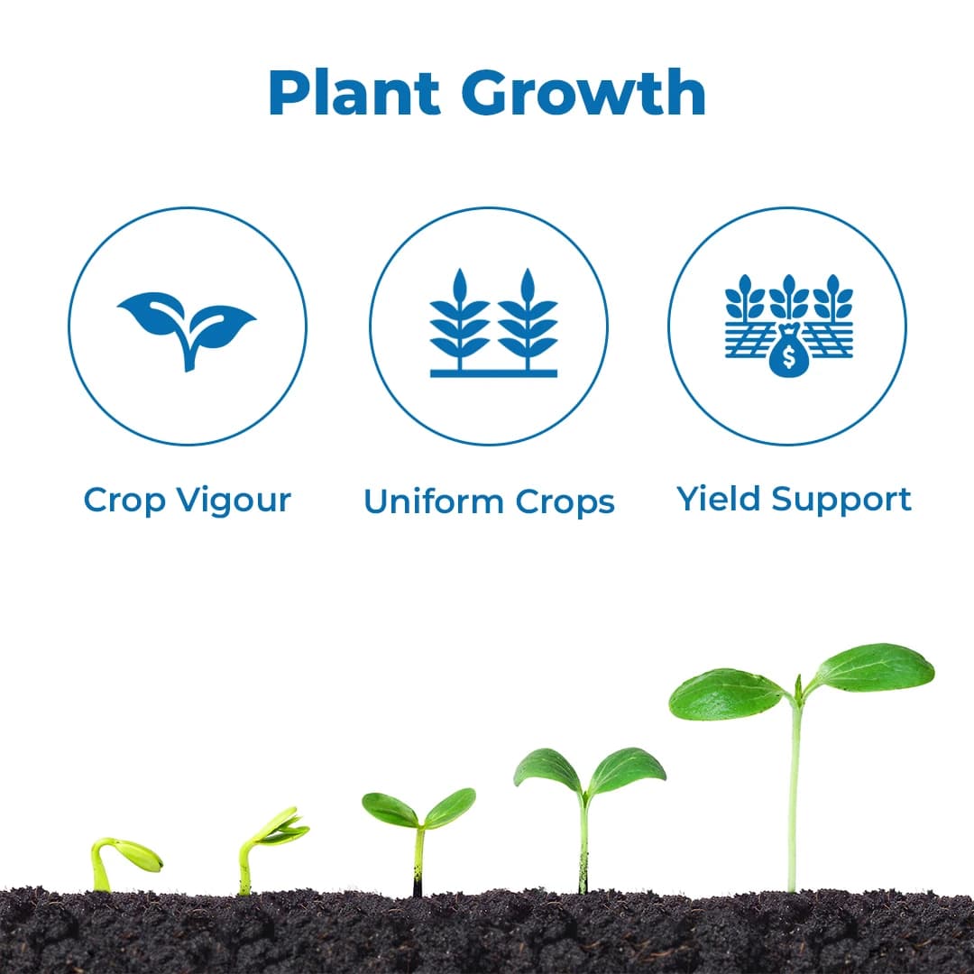 Nanozim Nxt (Ascophyllum Nodosum) Biostimulant - Image 3