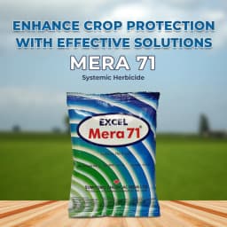 सुमितोमो एक्सेल मेरा 71 प्रणालीगत खरतपरवारनाशक, ग्लाइफोसेट के अमोनियम लवण 71% एसजी, गैर-चयनात्मक, पोस्ट इमर्जेंट खरतपरवारनाशक 2