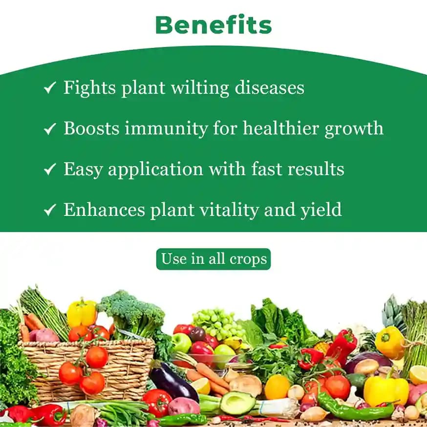 Stop Wilt Controlling Fungal, Bacterial and Nematicidal Infection Mainly Root In System, Subsequently Improves the Growth of the Plant - Image 4
