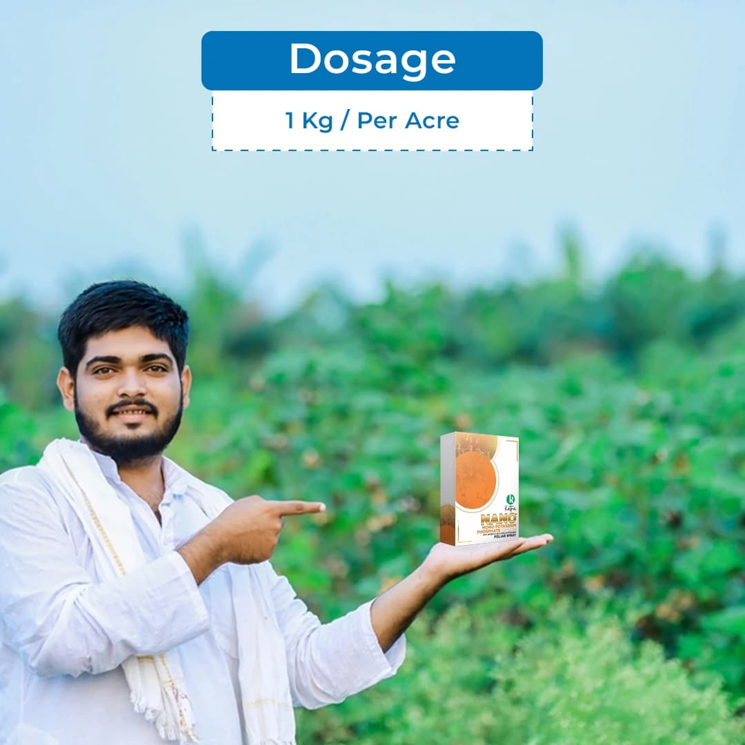 Katra Nano Mono Potassium Phosphate 00:52:34 - Image 5