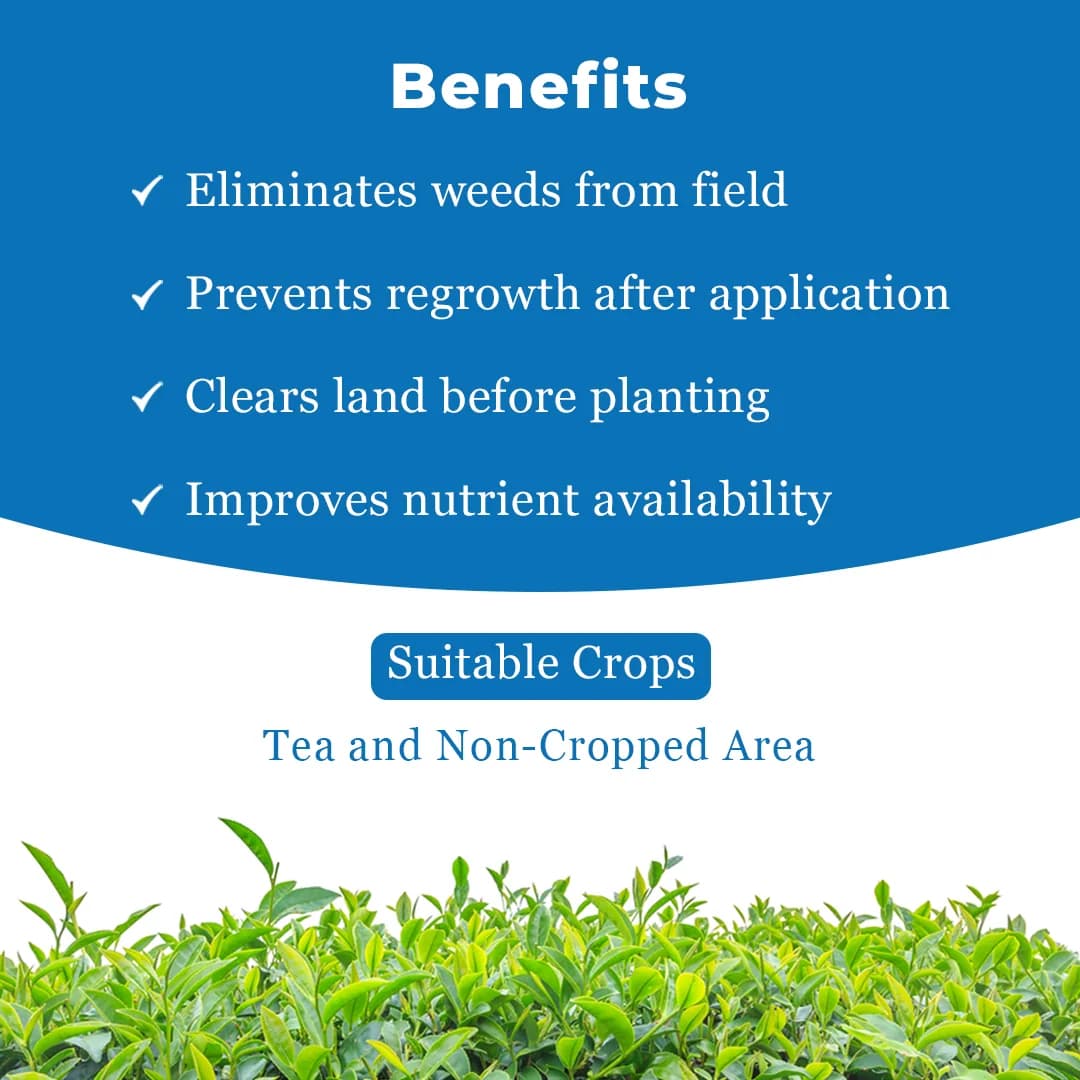 Krishigiri GLYTHOR 41 Glyphosate 41% SL Non Selective Herbicide - Image 4