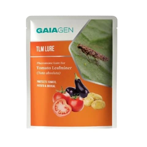 Gaiagen Pheromone Lure For Tomato Leafminer Tuta Absoluta And Insect Water Trap 1.6L, IMO Certified. - Image 2