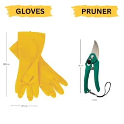 GACIL 5-In-1 Gardening Tool Kit Set For Home Garden, Includes Hand Gloves, Hand Shovel, Hand Fork, Hand Cultivator And Pruner 3