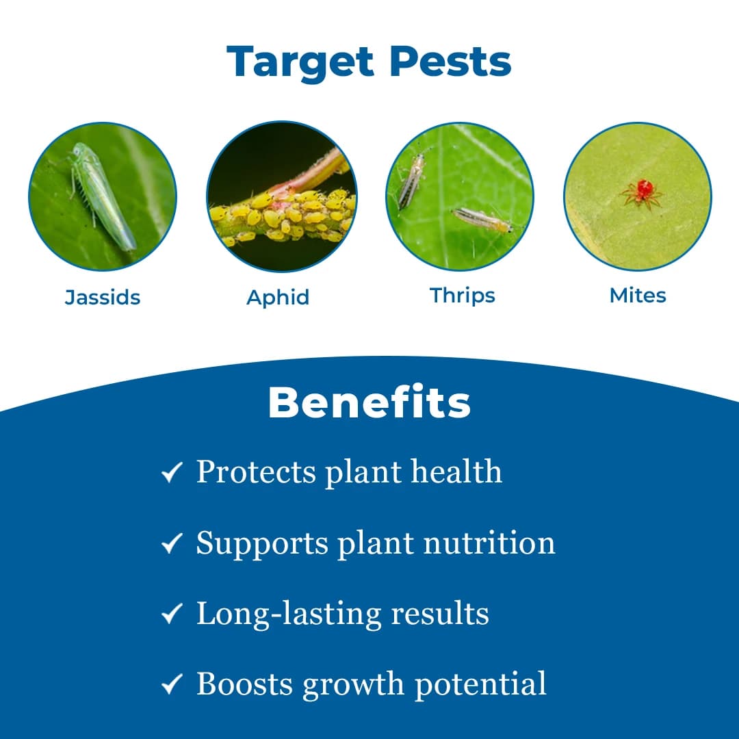 BACF ILEX Imidacloprid 30.5% SC Insecticide, Contact And Stomach Action, Best For Sucking Pest - Image 3