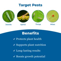 BACF ILEX Imidacloprid 30.5% SC Insecticide, Contact And Stomach Action, Best For Sucking Pest 3