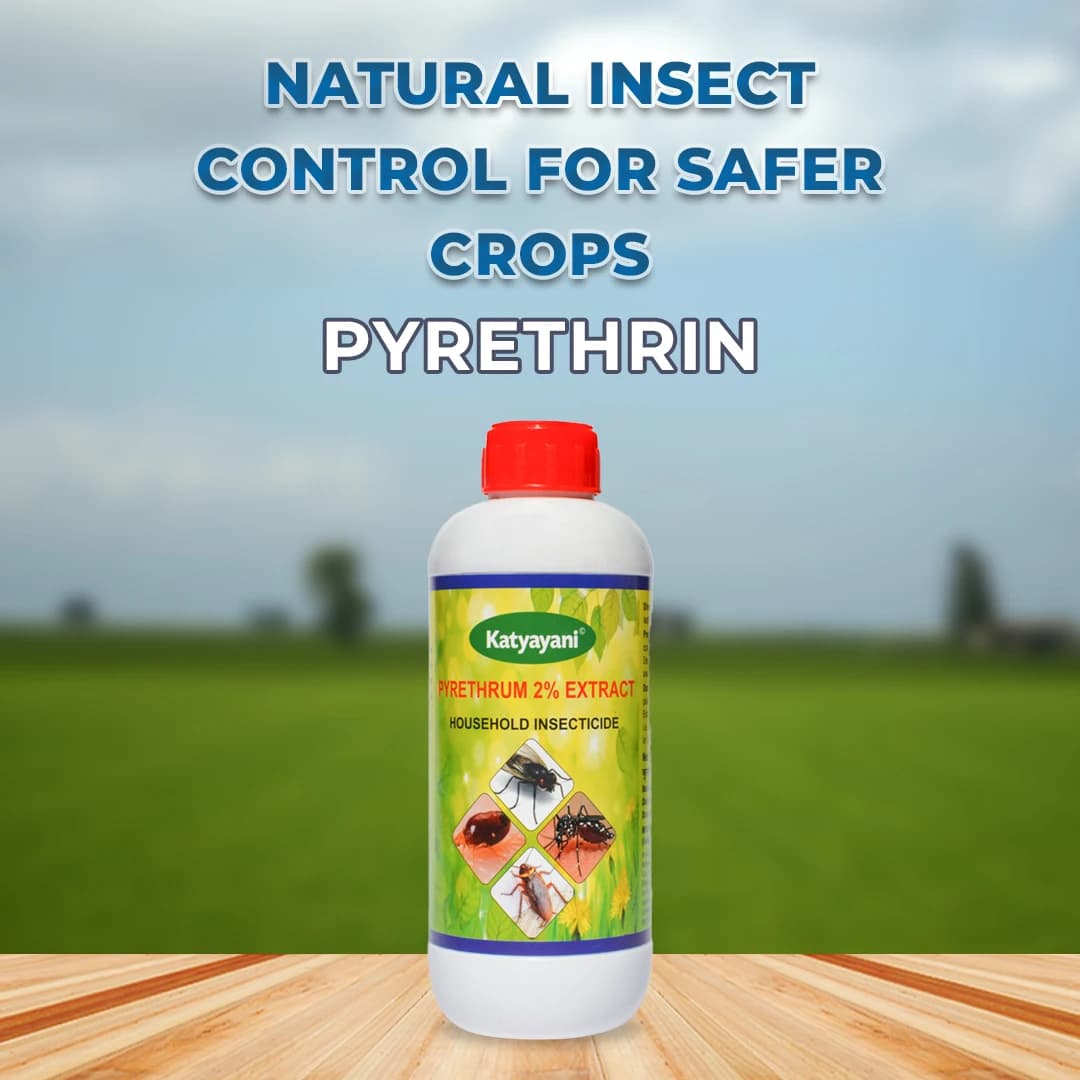 Pyrethrin Insecticide Household Fogging & Spray Liquid for Mosquitos, Bed Bugs, Flies, Cockroaches Pyrethrum Extract 2% Ideal Pesticide for Home Garde - Image 2