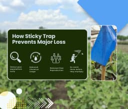 Chipku Pest Control Kit, Includes Gum Bag, Sticky Traps, DIY Pack , Gum Bottle, Yellow & Blue Polybags 7