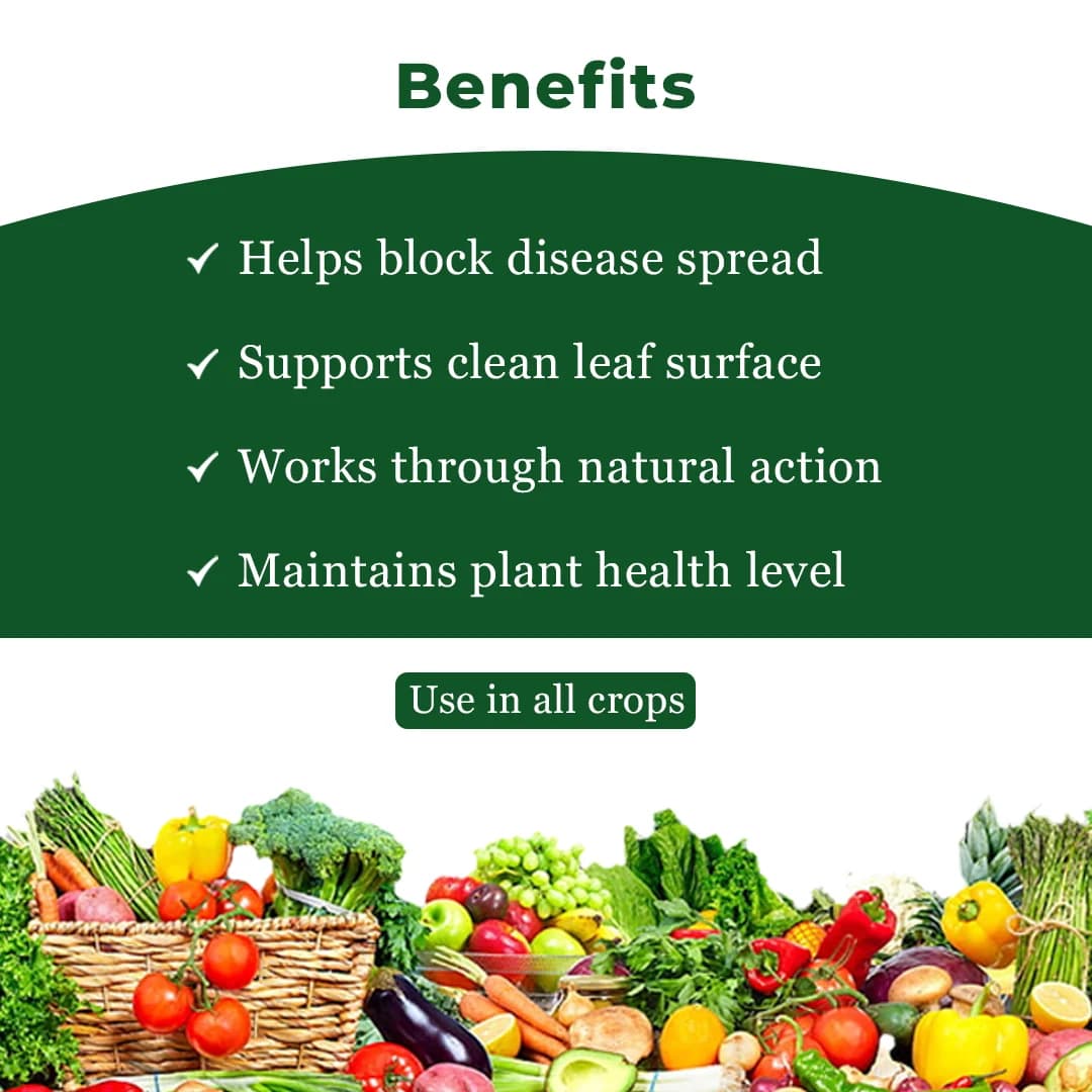 ईबीएस बैसिलस सबटिलिस - जैव फफूंदनाशक, पौधों और घर के बगीचे के लिए डाउनी फफूंद, पाउडरी फफूंद और जीवाणु रोगों को नियंत्रित करें - Image 4