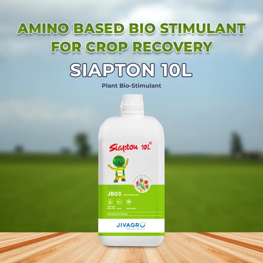 Jivagro Siapton 10 L Plant Bio-Stimulant