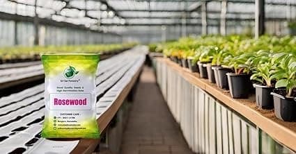 श्री साई फॉरेस्ट्री - शिशम वृक्ष के बीज (उत्तर भारतीय रोज़वुड), कठोर लकड़ी के बीज - Image 10