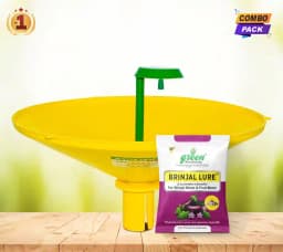 Water Pheromone Trap with Brinjal Lure (Leucinodes Orbonalis) For Brinjal Fruit and Shoot Borer Insect. 7
