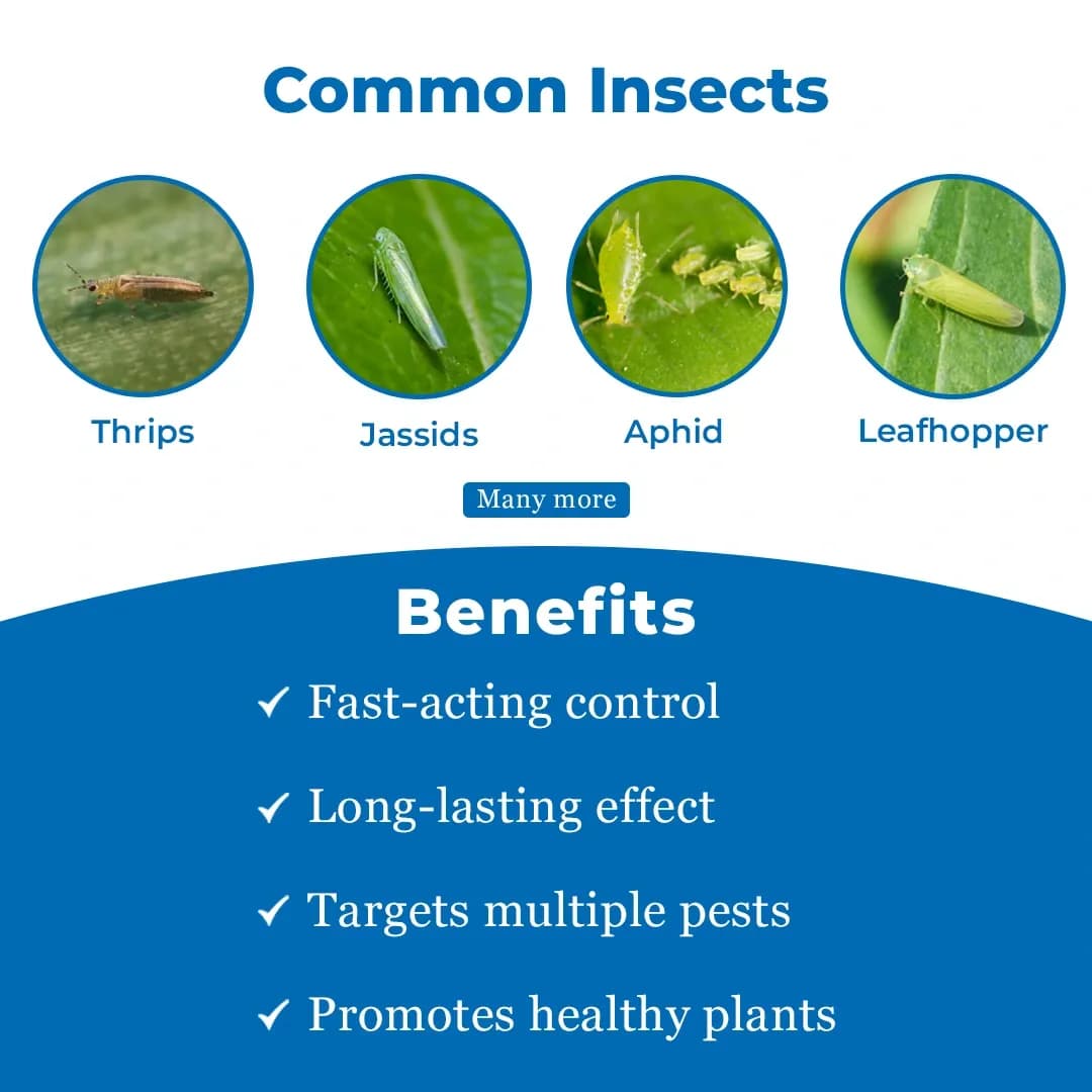 BACF HOVER - Thiamethoxam 12.6% + Lambda Cyhalothrin 9.5% ZC, Systemic Action, Best For Thrips and Aphids. - Image 3