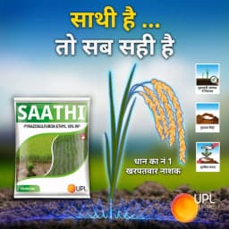 UPL Saathi Pyrazosulfuron Ethyl 10% WP Herbicide, Pre Emergence Systemic Weedicide Used in Paddy Crop to Control Grasses and Broad Leaf Weeds 7