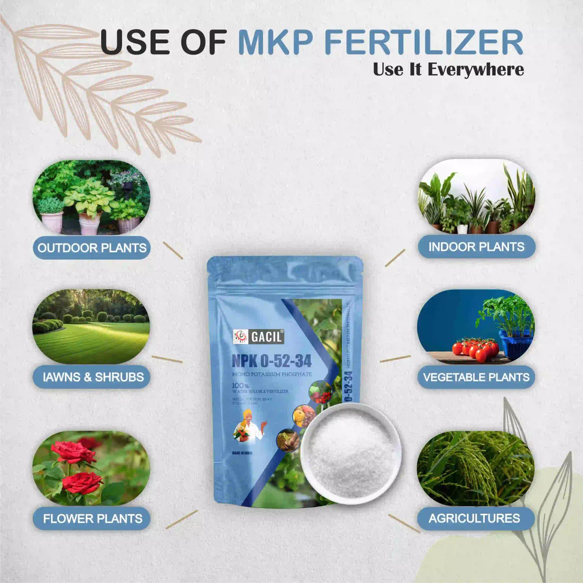 GACIL NPK 00-52-34 Mono Potassium Phosphate Fertilizer - Image 9